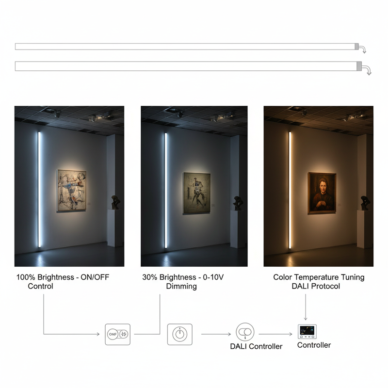 NS1010 Neon Strip Light IP65, High Density 120LEDs/m, Customizable Power Manufacturer