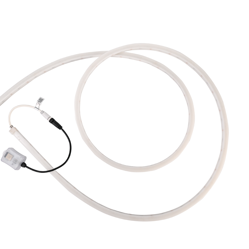 Neon Light Strip Manufacturer Wholesale China NS1616T RGBW Flexible Outdoor Lighting