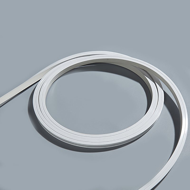 NS1010 Neon Strip Light IP65, High Density 120LEDs/m, Customizable Power Manufacturer