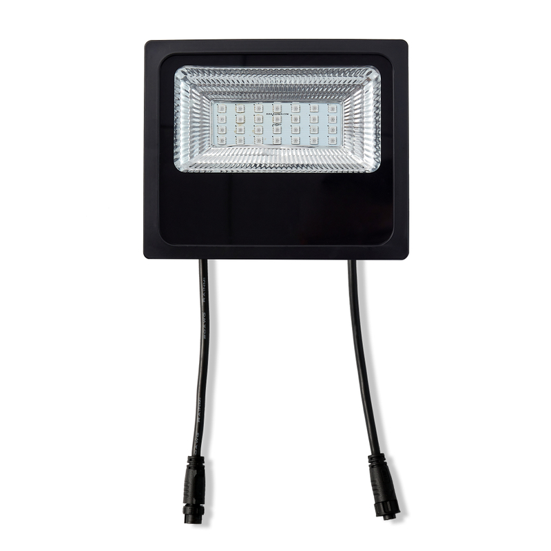 30W Flood Light