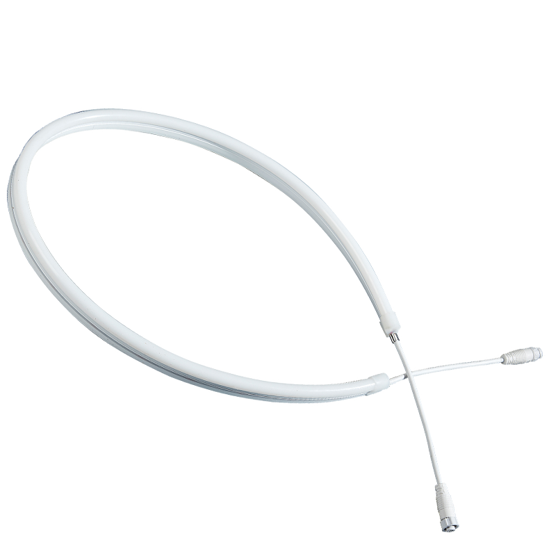 NSD2525 Neon Strip Light Manufacturer Wholesale China RGB Outdoor