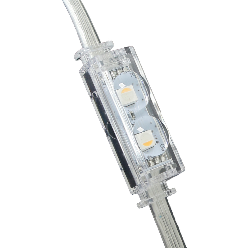 Pebble Light Manufacturer Wholesale China P50L RGBW IP66 for Outdoor Decoration