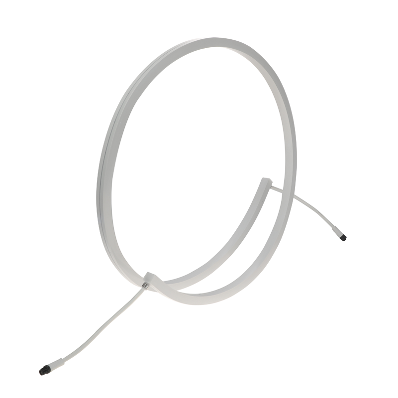 NS1618 Neon Light Strip Manufacturer Custom Wholesale China Outdoor Flexible LED