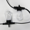 S14 String Light IP66, 360° RGB/RGBW Outdoor Lighting, Custom Bulb Manufacturer