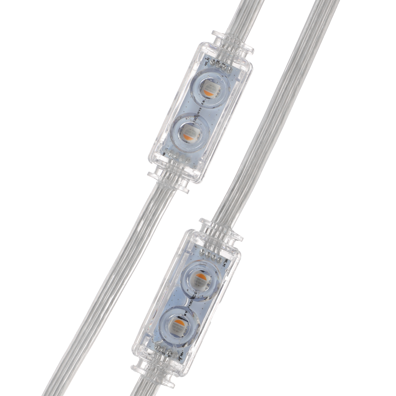 Outdoor Pebble Light Manufacturer China P60L RGBW Decorative Use