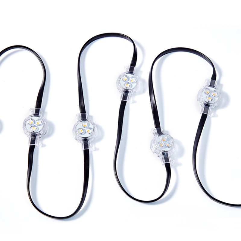 Custom D35L Pixel Light IP66, Wide Controller Compatibility, OEM Manufacturer