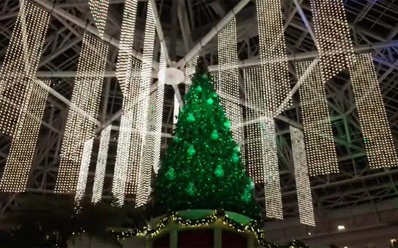 Christmas Tree Light Show